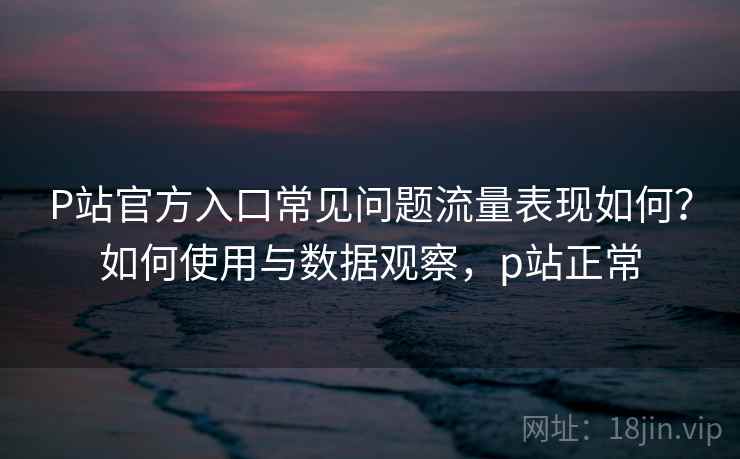 P站官方入口常见问题流量表现如何？如何使用与数据观察，p站正常  第2张