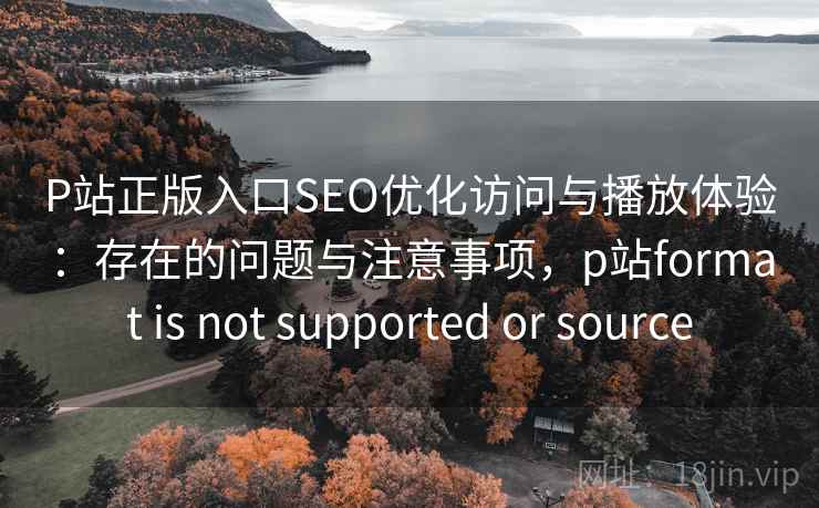 P站正版入口SEO优化访问与播放体验：存在的问题与注意事项，p站format is not supported or source  第1张