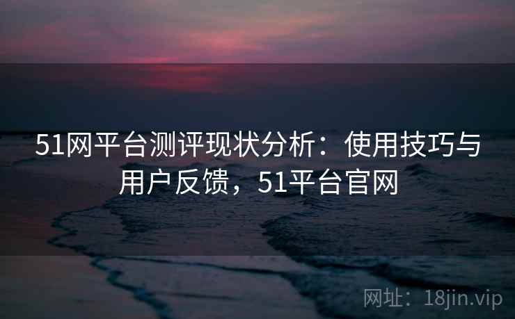 51网平台测评现状分析：使用技巧与用户反馈，51平台官网  第1张