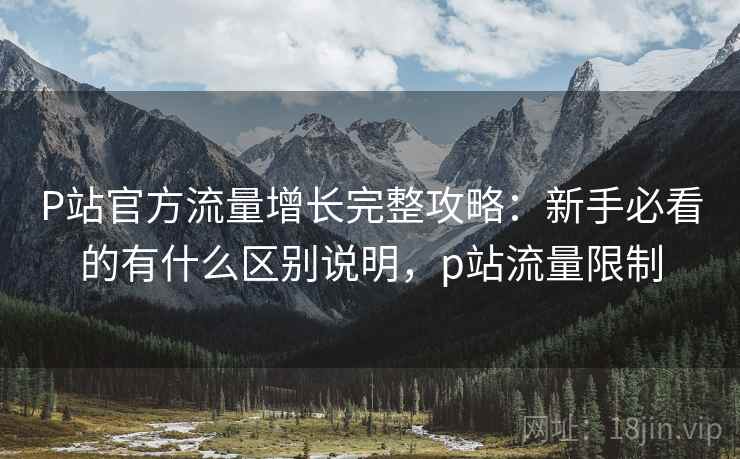 P站官方流量增长完整攻略：新手必看的有什么区别说明，p站流量限制  第2张