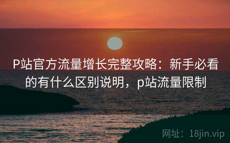 P站官方流量增长完整攻略：新手必看的有什么区别说明，p站流量限制  第1张