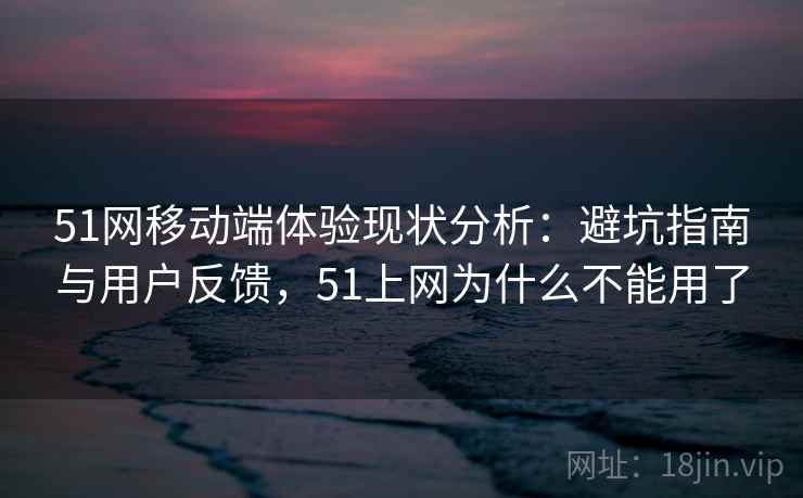 51网移动端体验现状分析：避坑指南与用户反馈，51上网为什么不能用了  第2张