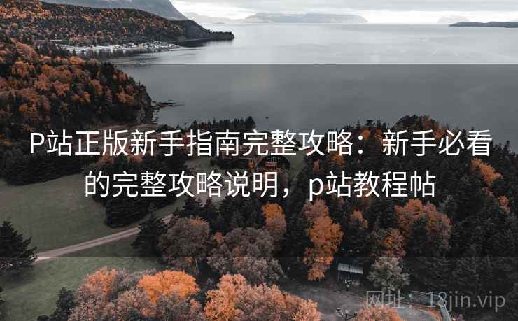 P站正版新手指南完整攻略：新手必看的完整攻略说明，p站教程帖  第1张