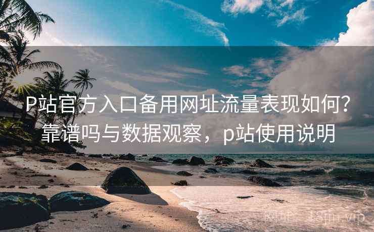 P站官方入口备用网址流量表现如何？靠谱吗与数据观察，p站使用说明  第1张
