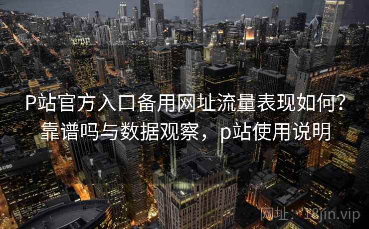 P站官方入口备用网址流量表现如何？靠谱吗与数据观察，p站使用说明  第2张