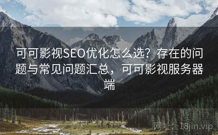 可可影视SEO优化怎么选？存在的问题与常见问题汇总，可可影视服务器端  第1张