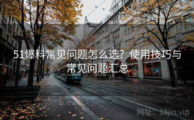 51爆料常见问题怎么选?使用技巧与常见问题汇总 第2张 51爆料常见问题怎么选?使用技巧与常见问题汇总 第2张