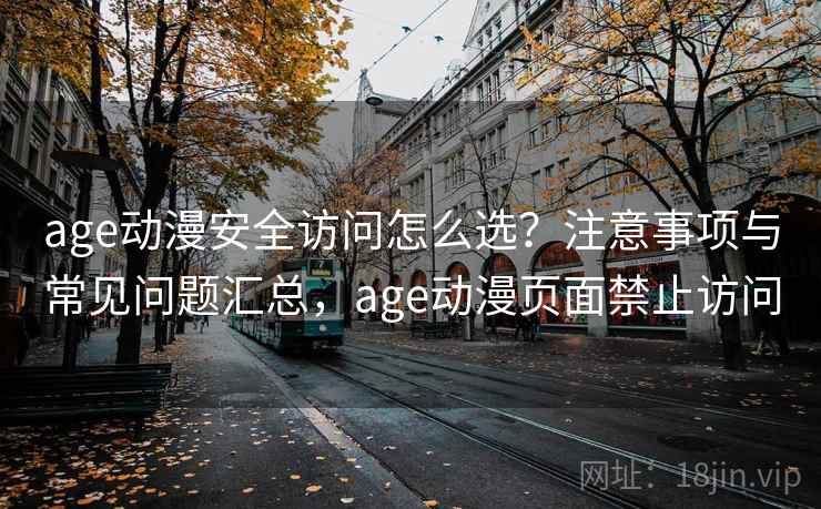 age动漫安全访问怎么选？注意事项与常见问题汇总，age动漫页面禁止访问  第1张