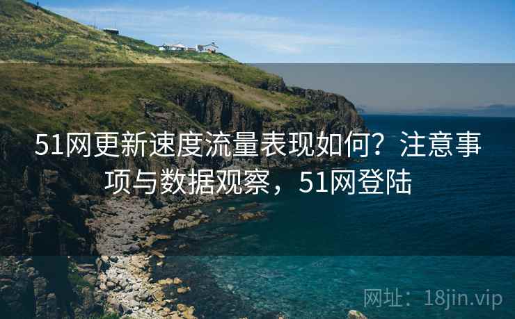 51网更新速度流量表现如何？注意事项与数据观察，51网登陆  第2张