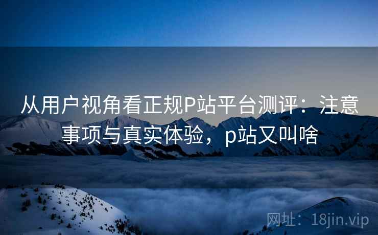 从用户视角看正规P站平台测评：注意事项与真实体验，p站又叫啥  第2张