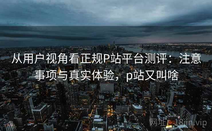从用户视角看正规P站平台测评：注意事项与真实体验，p站又叫啥  第1张
