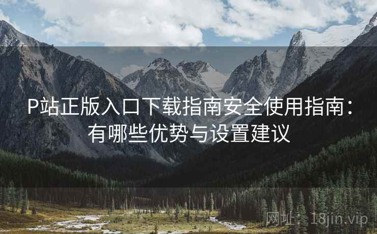 P站正版入口下载指南安全使用指南:有哪些优势与设置建议 第2张 P站正版入口下载指南安全使用指南:有哪些优势与设置建议 第2张