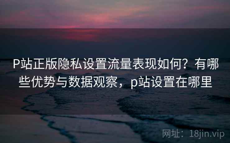 P站正版隐私设置流量表现如何？有哪些优势与数据观察，p站设置在哪里