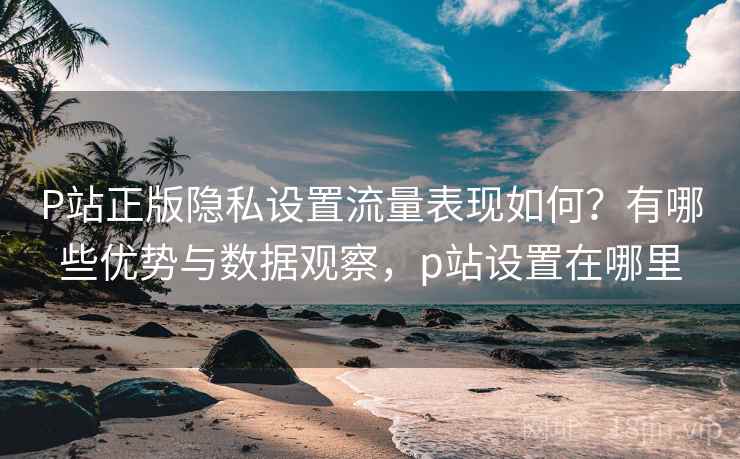 P站正版隐私设置流量表现如何?有哪些优势与数据观察,p站设置在哪里 第2张 P站正版隐私设置流量表现如何?有哪些优势与数据观察,p站设置在哪里 第2张