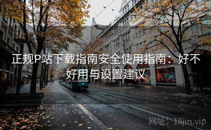 正规P站下载指南安全使用指南:好不好用与设置建议 第2张 正规P站下载指南安全使用指南:好不好用与设置建议 第2张