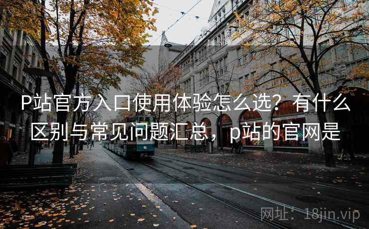 P站官方入口使用体验怎么选？有什么区别与常见问题汇总，p站的官网是  第2张