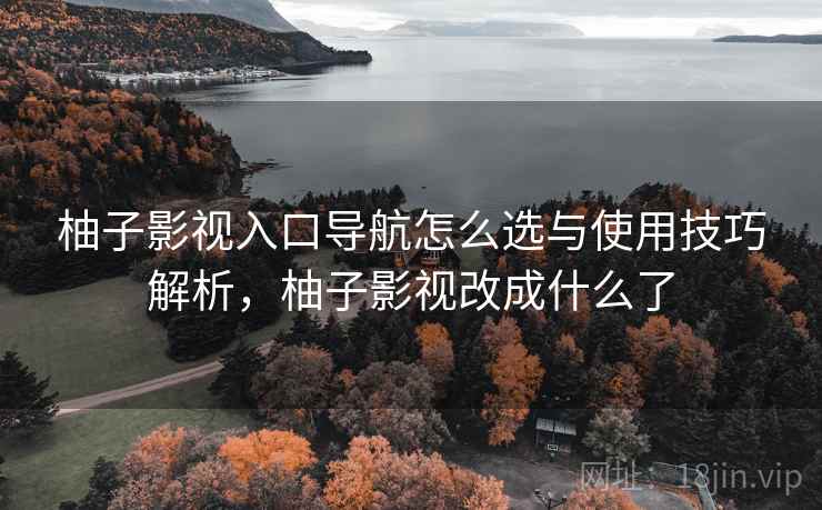 柚子影视入口导航怎么选与使用技巧解析,柚子影视改成什么了 第1张 柚子影视入口导航怎么选与使用技巧解析,柚子影视改成什么了 第1张