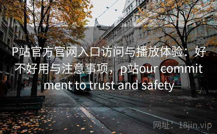 P站官方官网入口访问与播放体验：好不好用与注意事项，p站our commitment to trust and safety  第2张