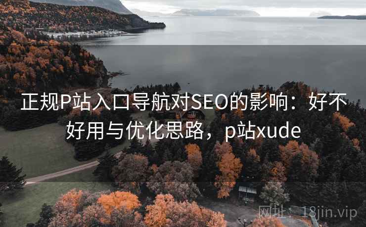 正规P站入口导航对SEO的影响:好不好用与优化思路,p站xude 第2张 正规P站入口导航对SEO的影响:好不好用与优化思路,p站xude 第2张