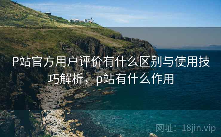 P站官方用户评价有什么区别与使用技巧解析,p站有什么作用 第1张 P站官方用户评价有什么区别与使用技巧解析,p站有什么作用 第1张