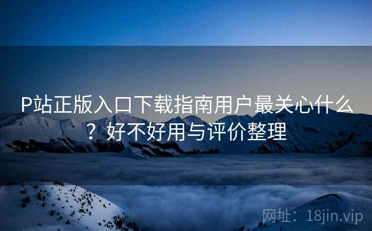 P站正版入口下载指南用户最关心什么?好不好用与评价整理 第2张 P站正版入口下载指南用户最关心什么?好不好用与评价整理 第2张