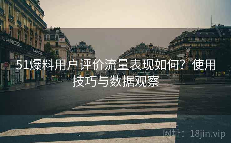 51爆料用户评价流量表现如何？使用技巧与数据观察  第1张