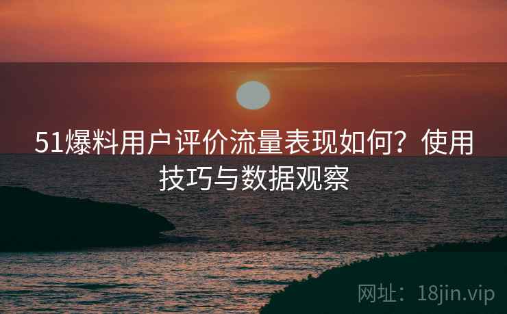 51爆料用户评价流量表现如何？使用技巧与数据观察  第2张