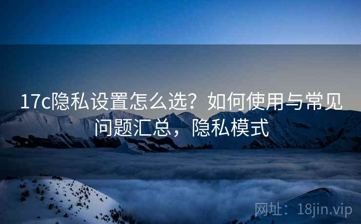 17c隐私设置怎么选？如何使用与常见问题汇总，隐私模式