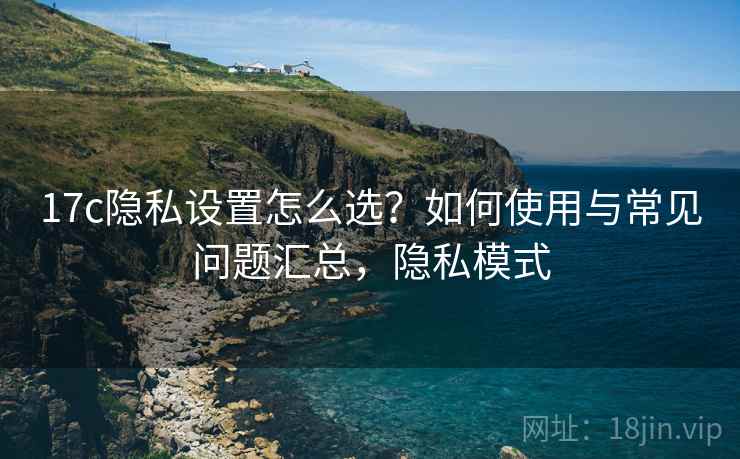17c隐私设置怎么选?如何使用与常见问题汇总,隐私模式 第2张 17c隐私设置怎么选?如何使用与常见问题汇总,隐私模式 第2张