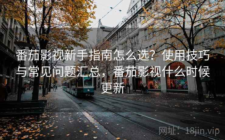 番茄影视新手指南怎么选?使用技巧与常见问题汇总,番茄影视什么时候更新 第1张 番茄影视新手指南怎么选?使用技巧与常见问题汇总,番茄影视什么时候更新 第1张